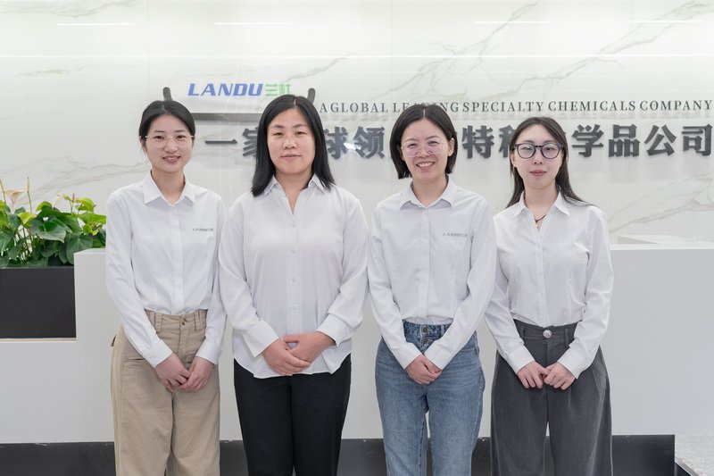 LANDU Professional Team