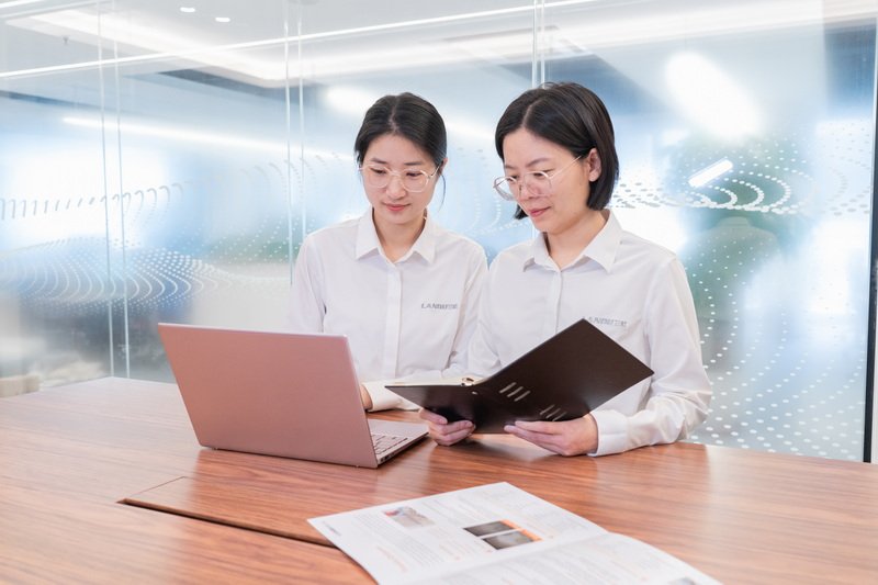 LANDU Sales Team Meeting