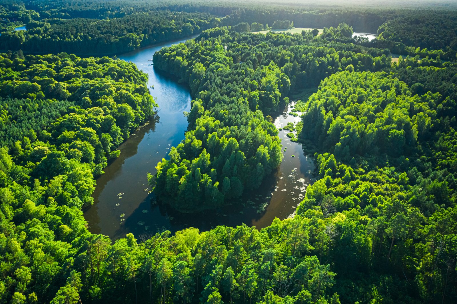 Environmental Protection